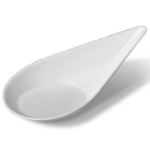 TS