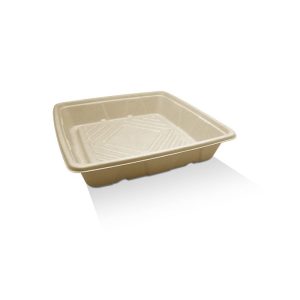 UCP10